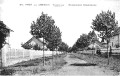 Boulevard Grammont à Charvieu vers 1925
